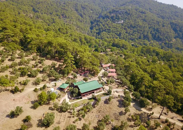 Hotel Candir Restaurant